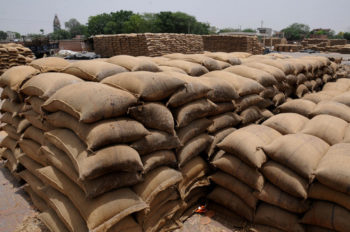 bags of wheat