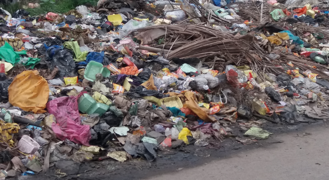 PHOTOS: Epidemic looms as heaps of refuse take over Apapa port roads 