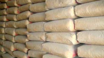 AMCON takes over Gateway Portland Cement