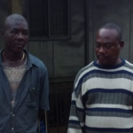 Customs intercept 140 smuggled snakes, spiders, millipedes, others in Calabar-1