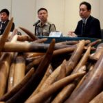 Customs and Excise Department officials attend news conference in Hong Kong