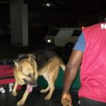 NDLEA