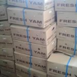 Yam-for-export