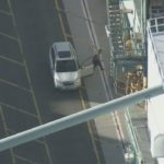 Car thief runs into port, climbs crane, strips naked -