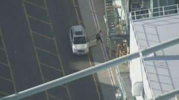 Car Thief Climbs Crane, Strips Naked at Port of Los 