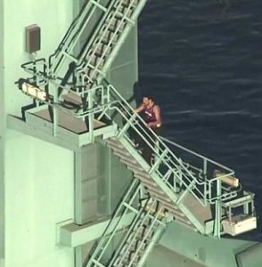 Car thief runs into port, climbs crane, strips naked  -1
