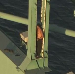 Car thief runs into port, climbs crane, strips naked 