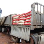 Customs intercepts exotic cars-1