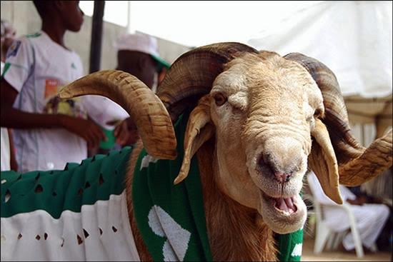 Eid-el-Kabir: Nigeria declares Thursday, Friday public holidays