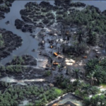 Niger delta