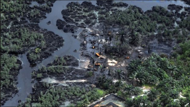 FG, IOCs to invest N1.7tr in Niger Delta