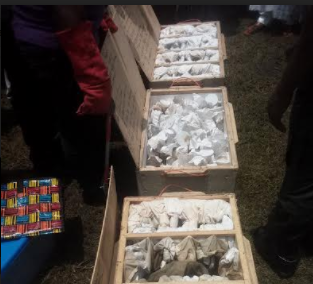 FG hands over boxes of snakes, spiders to University of Uyo for reaseach    