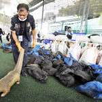 Customs seizes over 100 endangered Pagolins in Thailand