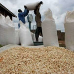 Maize importation