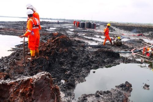 Ogoni cleanup