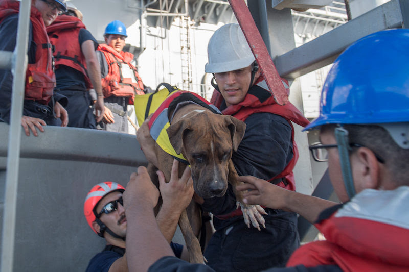 Navy rescues two sailors lost at sea for five months-1