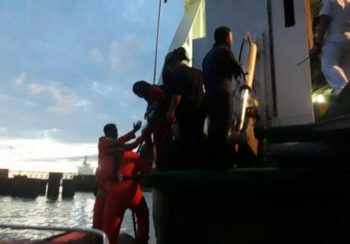 181 passengers escape death as ferry crashes into port building