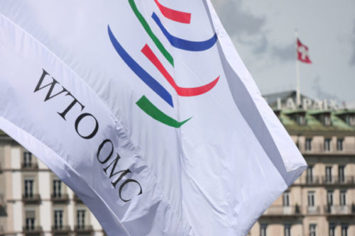 WTO outlook: Global trade losing momentum in Q3