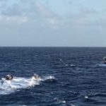 Dutch navy seizes cocaine from Tanzania-flagged ship