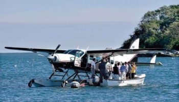 Investigators to raise seaplane that killed British exec, family