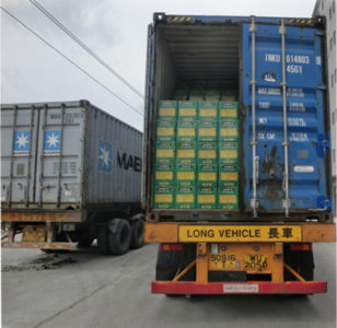 Nigeria Custom seizes trailer load with mosquito coils