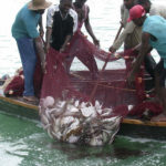 illegal fishing