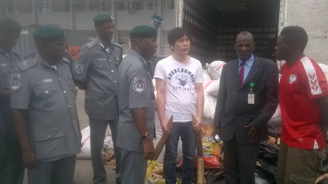 Customs arrests Chinese with sacks of tusks worth N493.5m 