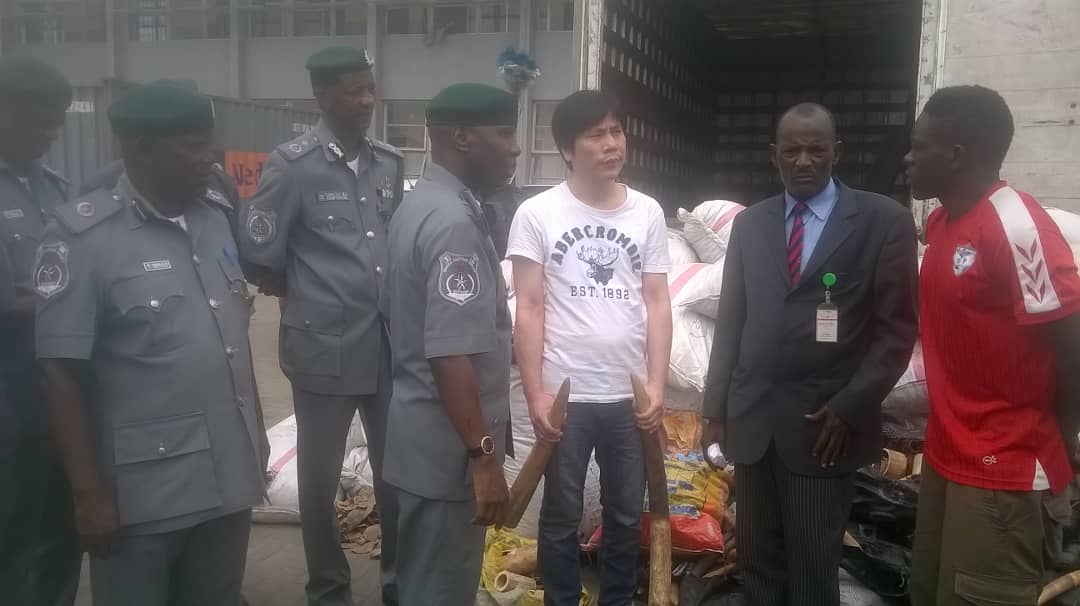 Customs arrests Chinese with sacks of tusks worth N493.5m