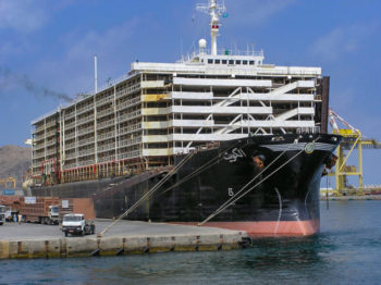 Livestock carrier escapes Brazil’s live animal export ban