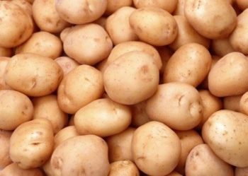 Potato farmers to become net exporters in one year