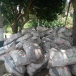 Navy seizes N150m cannabis in Badagry creeks