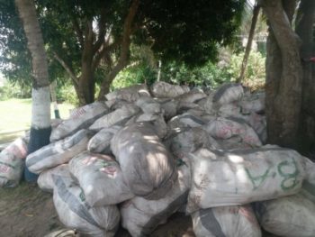 Navy seizes N150m cannabis in Badagry creeks