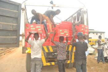 Seme Customs intercepts 2,200 cartons of tomatoes