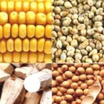 Why African countries remain raw material export-based economies