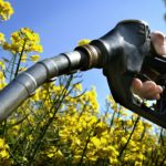 Bio-fuel value chain to create 5 million jobs - Baru
