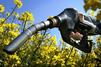 Biofuels: U.S. refinery workers head to Washington to urge reform