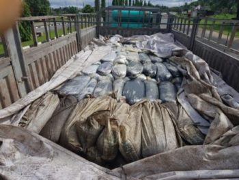 EFCC nabs illegal oil dealers with Dangote truck