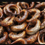 Group seeks FG’s intervention on banned smoked fish exports