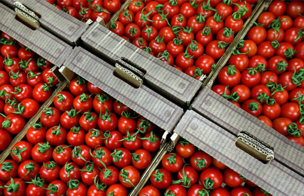Russia to lift ban on tomato imports from Turkey