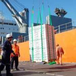 Dockworkers to embark on another strike in Spain