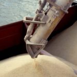 Japan buys China-bound sorghum amid trade row