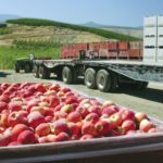 China ramps up quarantine checks on U.S. apple imports
