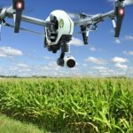 Rice smuggling - Customs to deploy drones