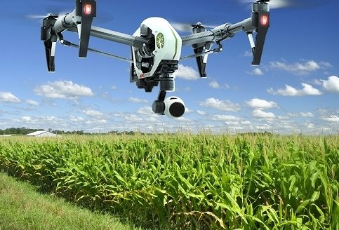 Rice smuggling - Customs to deploy drones