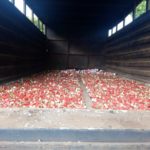 Customs Intercept 200,000 live ammunitions in Niger