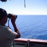 IMO confers consultative status on WISTA