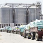 Ukrainian firm to invest $2bn in Egypt’s silos