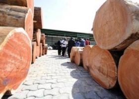 LCCI seeks wood export ban, protests frequent lawmakers invitation
