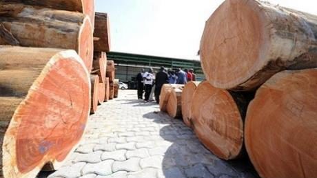 LCCI seeks wood export ban, protests frequent lawmakers invitation