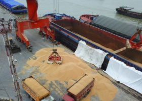 Trade war: China foresees fall in its U.S. agricultural imports